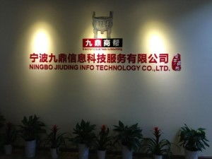 科技信息服务赋能 宁波九鼎的咨询之道与行业价值